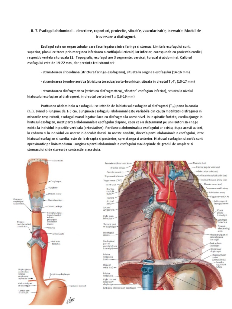 II. 7. Esofagul Abdominal | PDF