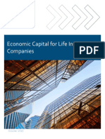 2016-Economic-Capital-life-insurance-Report.pdf