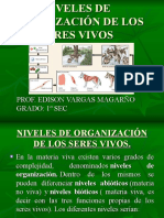 Niveles de Organizacion