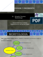 Morfologia Division y Crecimiento Bacteriano 1