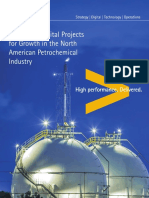 Accenture Managing Capital Projects Growth North American Petrochemical Industry