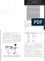 relación hongo entomopatógeno -insecto.pdf