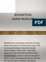 Asam Nukleat - Compressed PDF