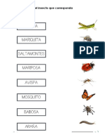 Tarea Insectos Mis Monica