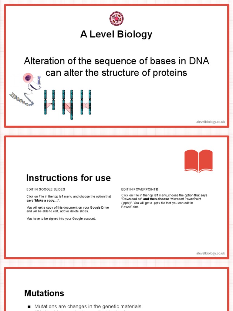 Alteration of The Sequence of Bases in DNA Can Alter The Structure of ...