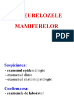 06.diagnosticul in Pasteureloza Mamiferelor.1