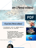 El Pez León (Pterois Volitans) Final