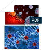 Celulas Cancerigenas