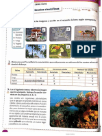 TALLER CLASIFICACIÓN DE SERES VIVOS Terminado