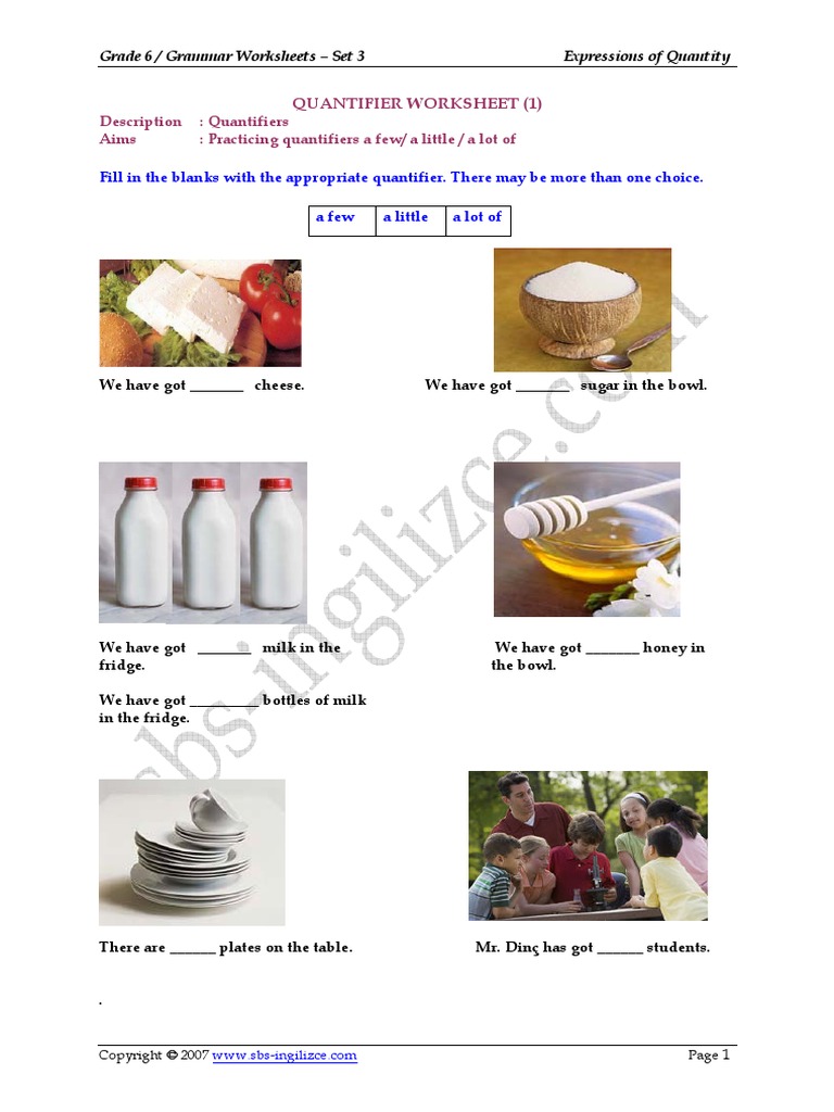 Quantifier Worksheet | PDF