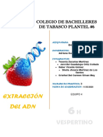 ADN de La FresaB OFICIAL PDF