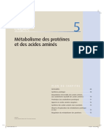 Métabolisme Des Protéines Et Des Acides Aminés: Chapitre Chapitre