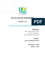 Informe 1 Hidraulica