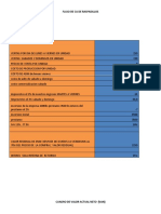 Flujo de Caja Raspadillo Word