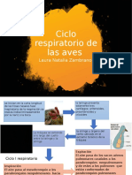 Ciclo respiratorio de las aves.pptx