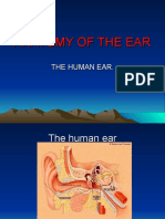 01.anatomy of The Ear