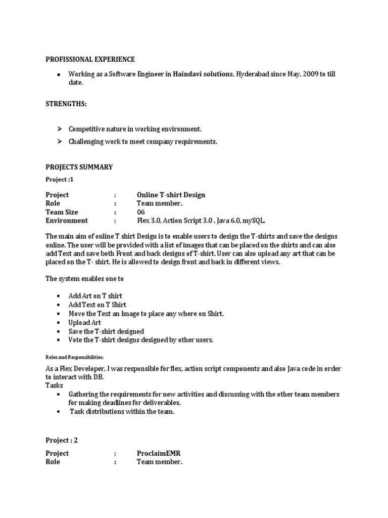 Software Engineer Project Experience | PDF