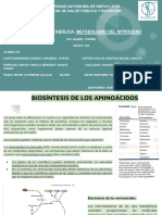 Biosíntesis de Aminoácidos PDF