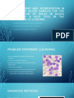 Improvement and Segmentation in Images of Blood Samples For The Calculation of Areas in Blood Cells As A Help Tool in The Detection of Leukemia