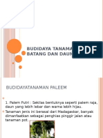 BUDIDAYA PALEM