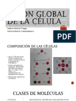 Vision Global de La Célula PDF