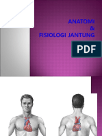 Anatomi Jantung.ppt