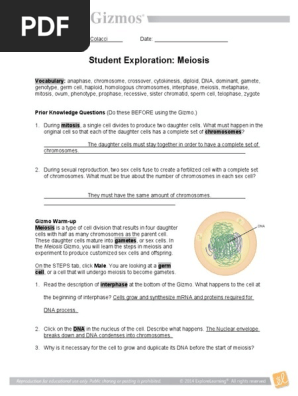Hw 2 Pdf Meiosis Mitosis