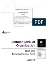 HUBS1403 - Biomedical Science 1 - Lecture 6. Cells