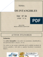 ActivosIntangibles-Nic 38-EXPO