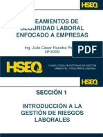 TEMA 1 LINEAMIENTOS SST.pdf