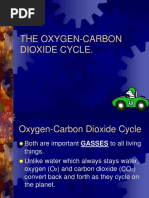 The Oxygen-Carbon Dioxide Cycle