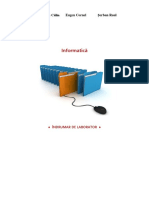 Indrumar Laborator PDF