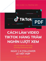 Tiktok PDF