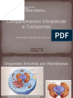 Compartimentos Intracelular e Transporte