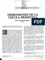 Dialnet-DimensionesDeLaCelulaPrimitiva-2972595.pdf