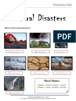 Natural-Disasters Vocabulary-Quiz 0
