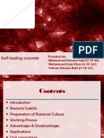 Selfhealingconcrete 181211174637 PDF