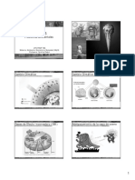 Dabul. Problemas Ambientales PDF