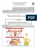 502 JM - TRABAJO VIRTUAL - CIENCIAS NATURALES, INGLÉS Y ARTES - SEGUNDO PERÍODO - 2020 (Seman