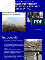 Incendios Forestales PDF