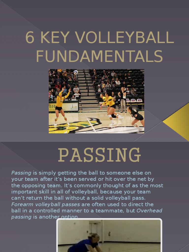6 Key Volleyball Fundamentals PDF Volleyball Team Sports