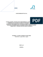 Memorias de Cálculo Diseño Estructural Puente Dovelas Sucesivas