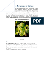 AnexoCorreioMensagem_889221_uvas-brancas-e-tintas