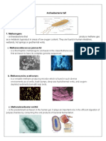 Archaebacteria Cell Types and Their Unique Adaptations