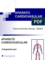 aparato-circulatorio-1193160037735642-1