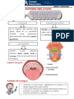 Ciencia y Tecnologia - GT - Gusto - Oseo PDF