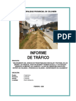 10 - Informe Técnico de Trafico - Bellavista