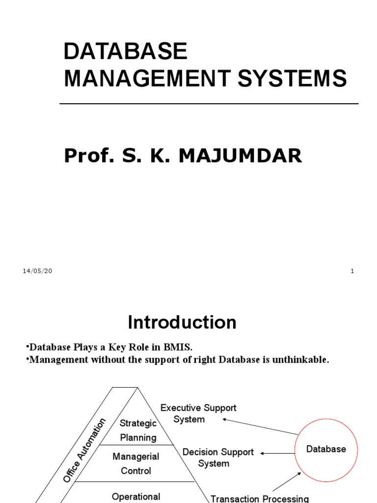 Importance of DBMS in Business Management | PDF | Databases | Data Model