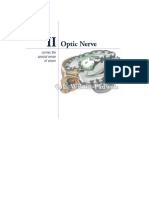 Cranial Nerves (II)