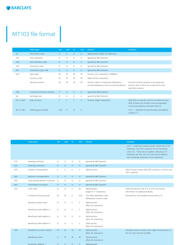 MT103 File Format Guide PDF Banking Financial Technology